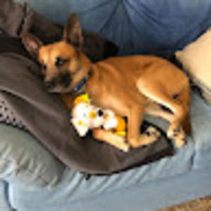 Meet your Posher, Audrey